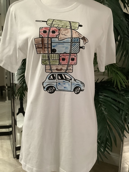 Hand Painted Luggage on car